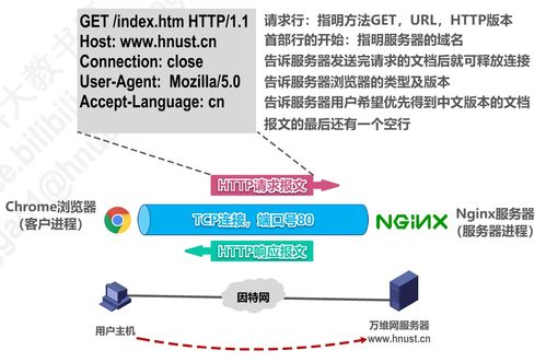 計(jì)算機(jī)網(wǎng)絡(luò)P6 應(yīng)用層——網(wǎng)絡(luò)服務(wù)的門戶與橋梁