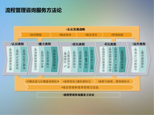 IT信息系統項目咨詢方法論在商務信息咨詢中的應用與實踐